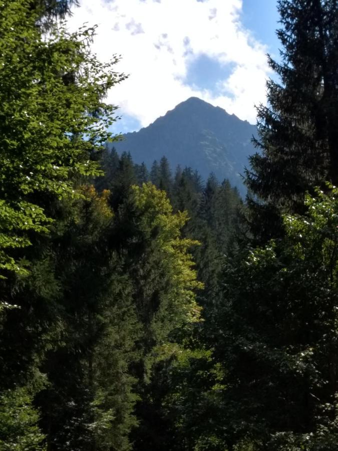 Ferienwohnung Eistobel und Felderhalde Isny im Allgäu Exterior foto