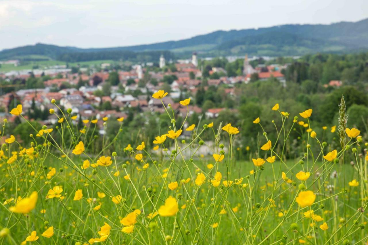 Ferienwohnung Eistobel und Felderhalde Isny im Allgäu Exterior foto
